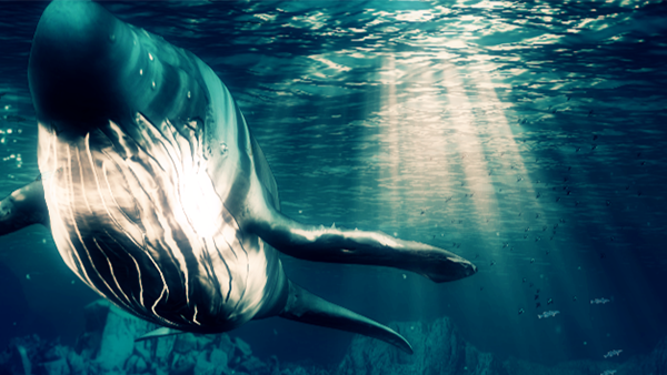 360 video mapping show for a corporate event