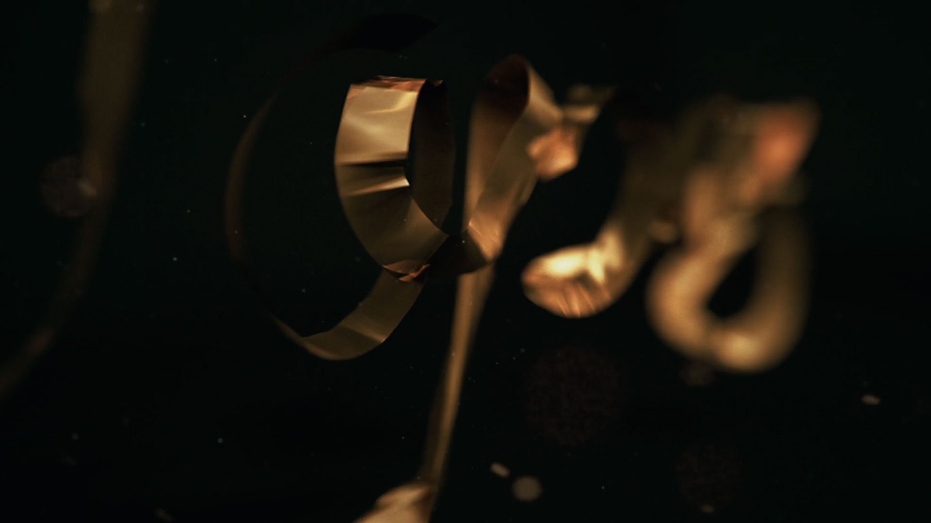 motion graphics for events