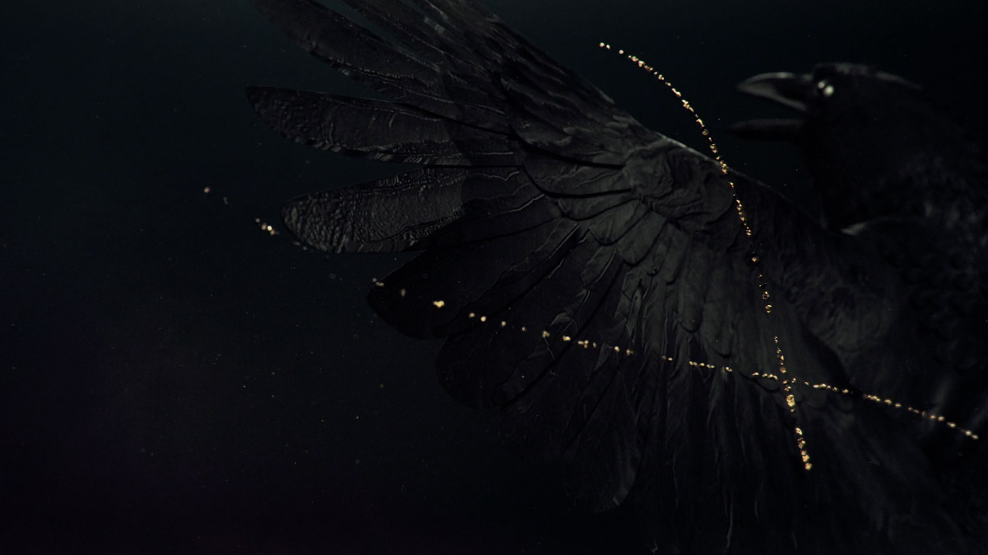 motion graphics video for gq in 2017