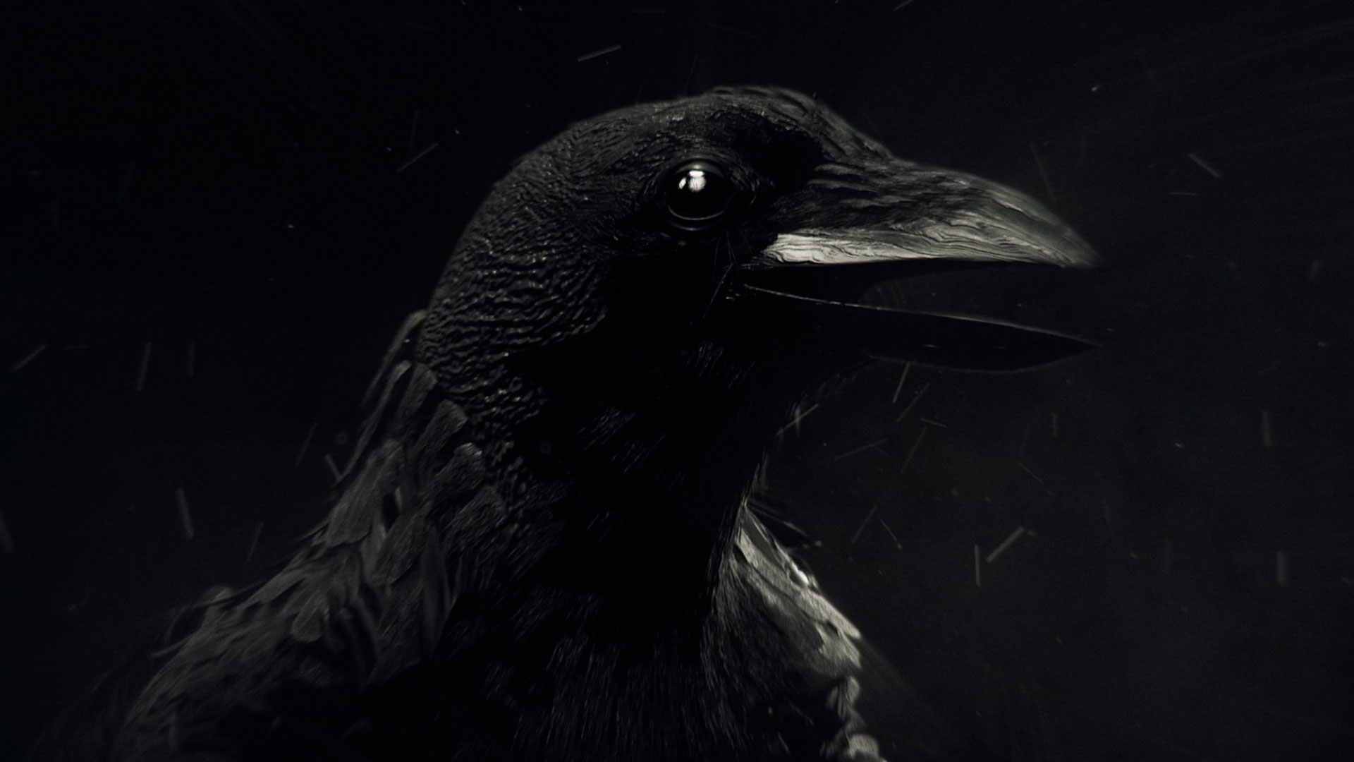 animation and sound design for corporate video