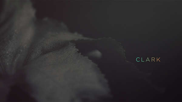 line up video for music festival in portugal