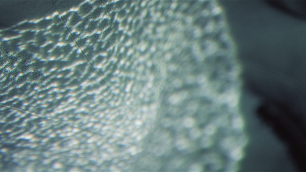 music festival line up video - forte festival