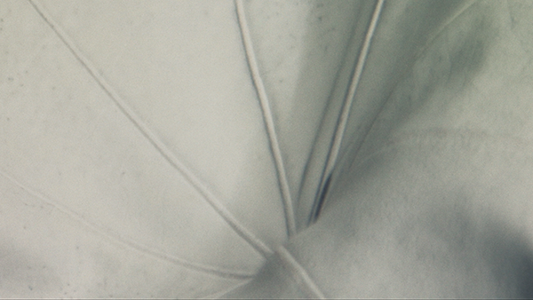 vj projection mapping for music festival 2017