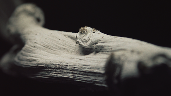 music festival content video