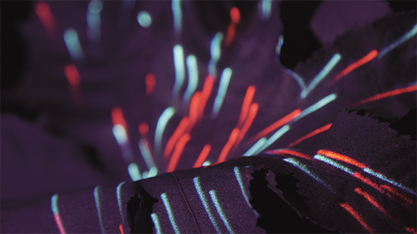 line up video for music festival