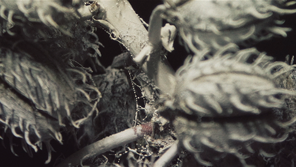 vj projection mapping for forte festival in 2017