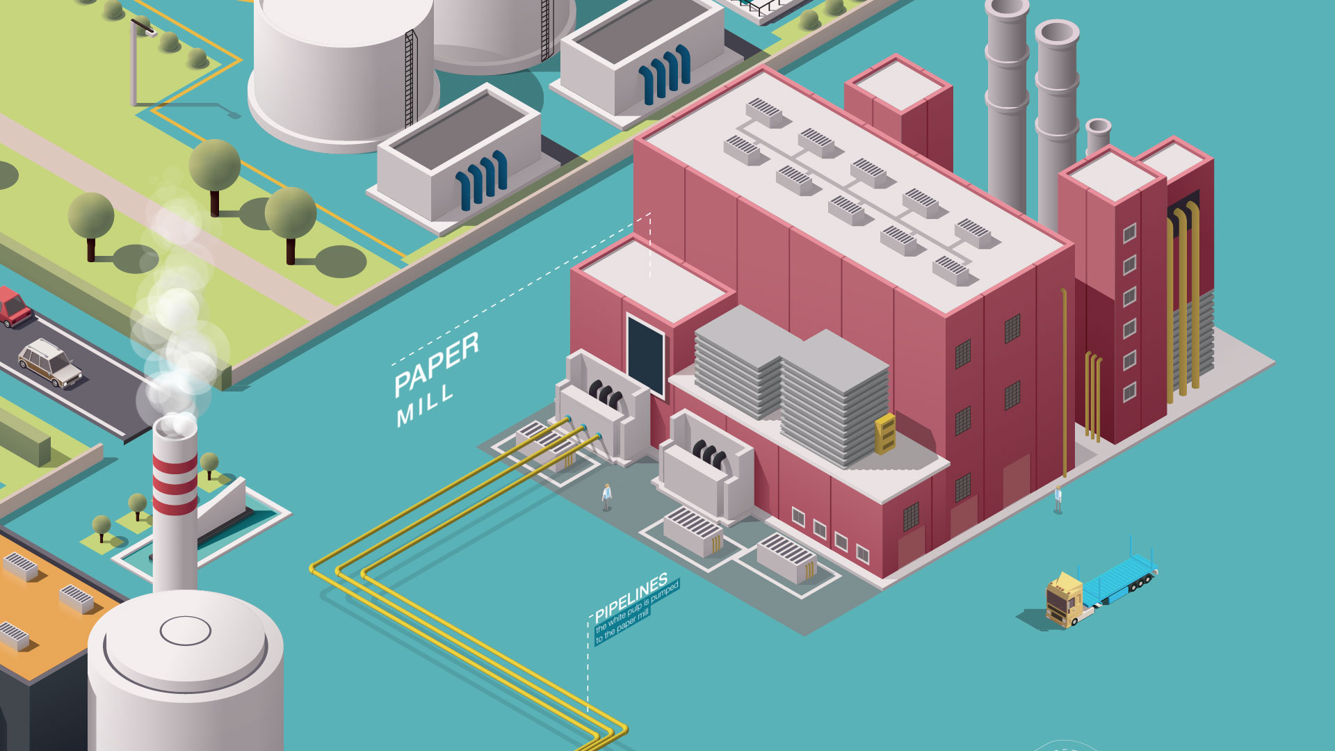 infographic video and animation