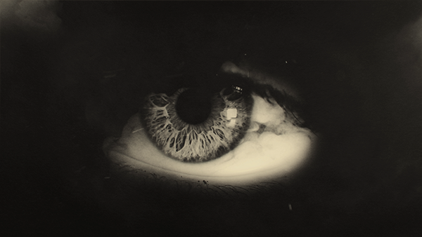 music festival visuals