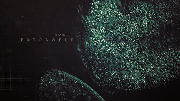 exclusive and tasteful vj content