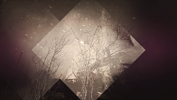 vj exclusive content