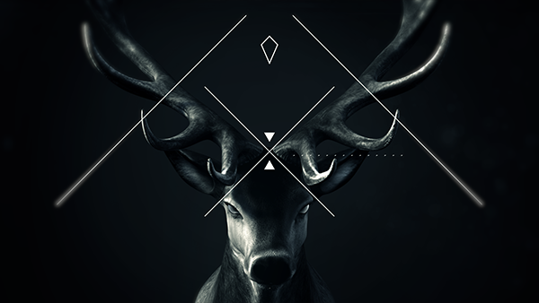 motion graphics for music festivals