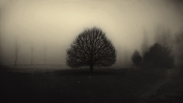 projection mapping and motion graphics for electronic music festival